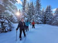 Schneeschuhtour über Silvester im Diemtigtal